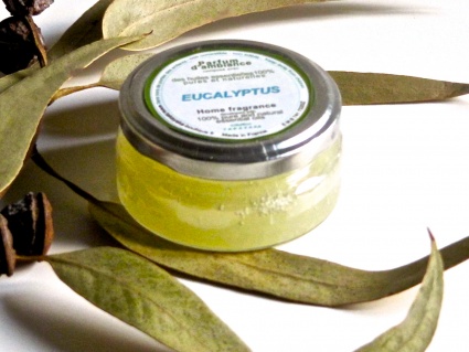 Diffuseur 65 ml  Eucalyptus 