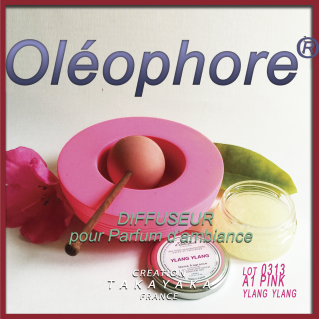 LOT SOUS LA TONNELLE A1  ROSE 