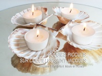4 Picculis Candles fragrance PARFUM MER 