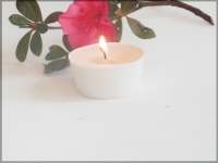 4 Picculis candles fragrance SOUS LA TONNELLE