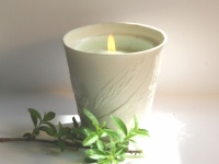 Bougie Il Bituccio Verveine