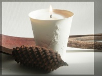 Porcelain candle Il Bituccio fragrance ZEST&CEDRES