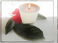 Porcelain candle Il Bituccio fragrance 