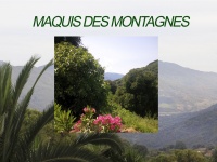 Vaporisateur 100 ml Maquis des montagnes